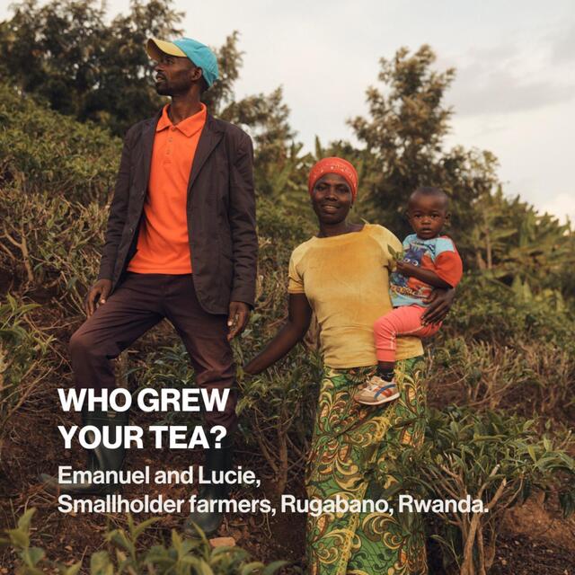 SPILL Everyday Loose Tea thumbnail 5