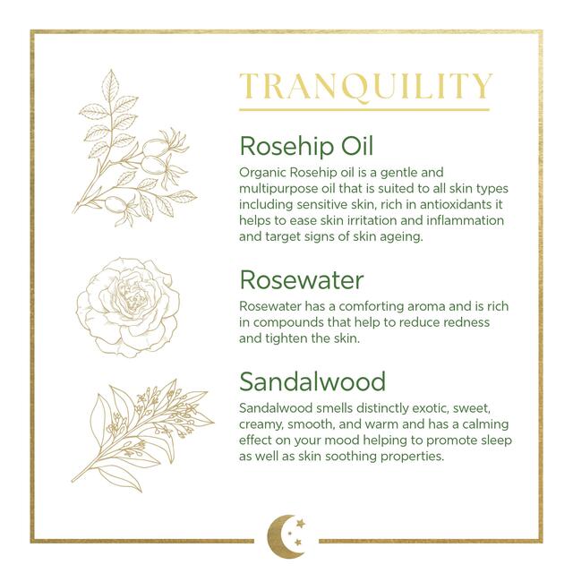 Dr Organic Evoke Tranquility Night Cream thumbnail 5