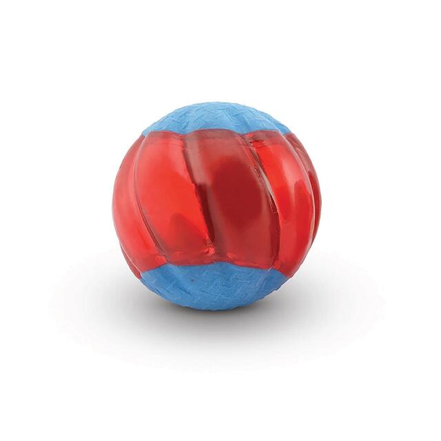 Zeus Duo Ball 6.3cm With Squeaker thumbnail 2