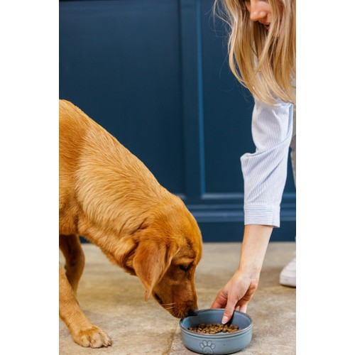 Mason Cash Reactive Paw Bowl 15cm thumbnail 3