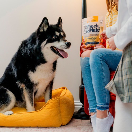 Pooch and Mutt Peanut Butter Dental Sticks For Dogs thumbnail 7
