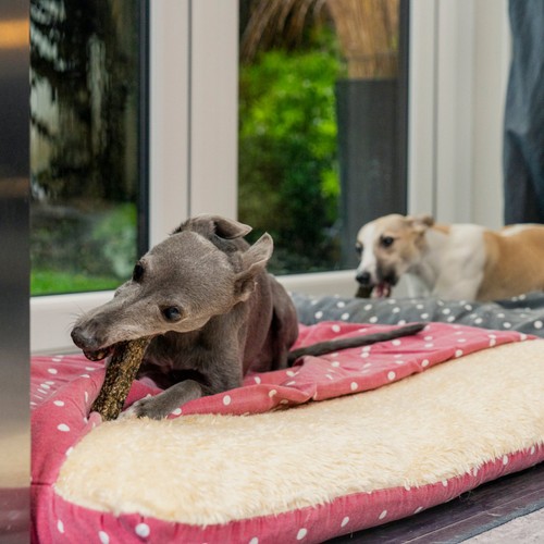Pooch and Mutt Calming Fish Hide Chews thumbnail 7