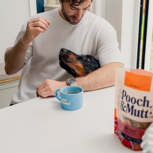 Pooch and Mutt High Protein Beef Jerky thumbnail 5