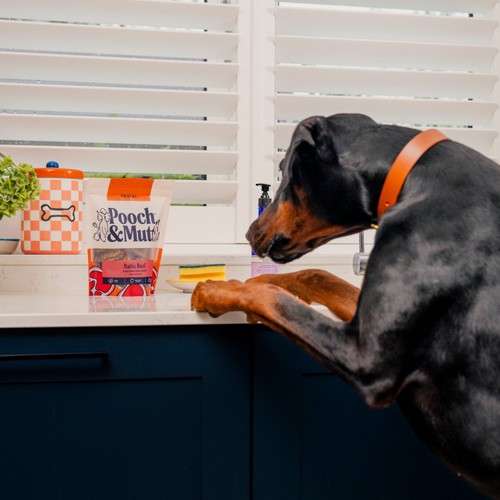 Pooch and Mutt High Protein Beef Jerky thumbnail 6