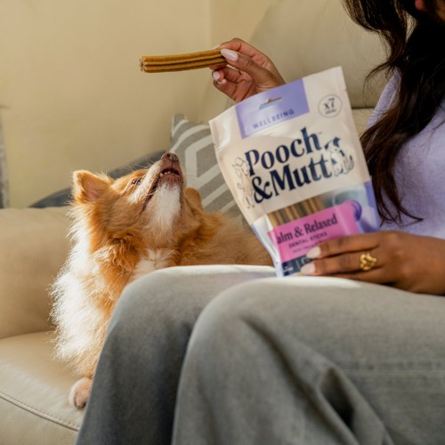 Pooch and Mutt Calming Dental Sticks For Dogs thumbnail 5