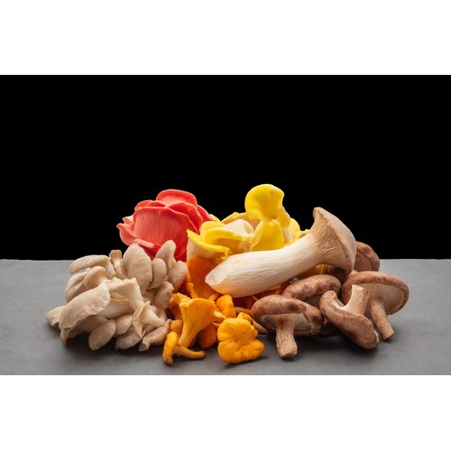 Smithy Mushrooms Ltd Seasonal Exotic Mushroom Mix thumbnail 4