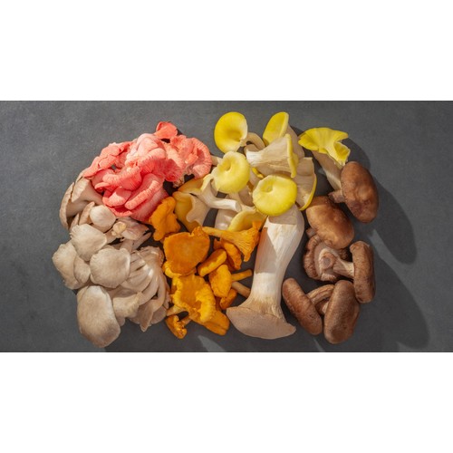 Smithy Mushrooms Ltd Seasonal Exotic Mushroom Mix thumbnail 5