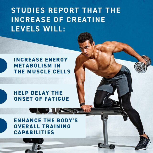 Applied Nutrition Creatine Powder Unflavoured thumbnail 3