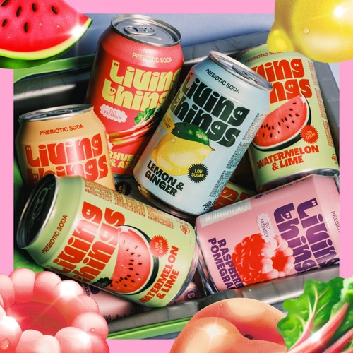 Living Things Raspberry & Pomegranate Biotic Soda thumbnail 5