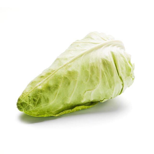 Daylesford Organic Green Pointed Cabbage