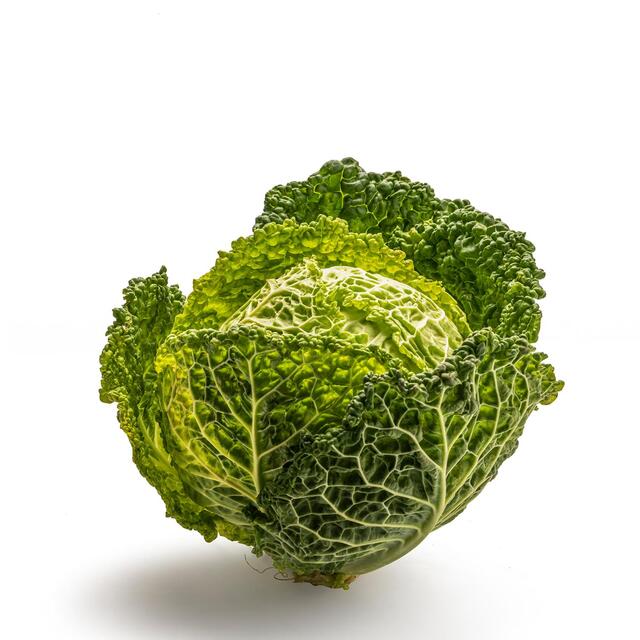 Daylesford Organic Winter Cabbage