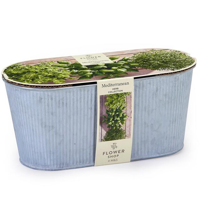 M&S Mediterranean Herb Collection