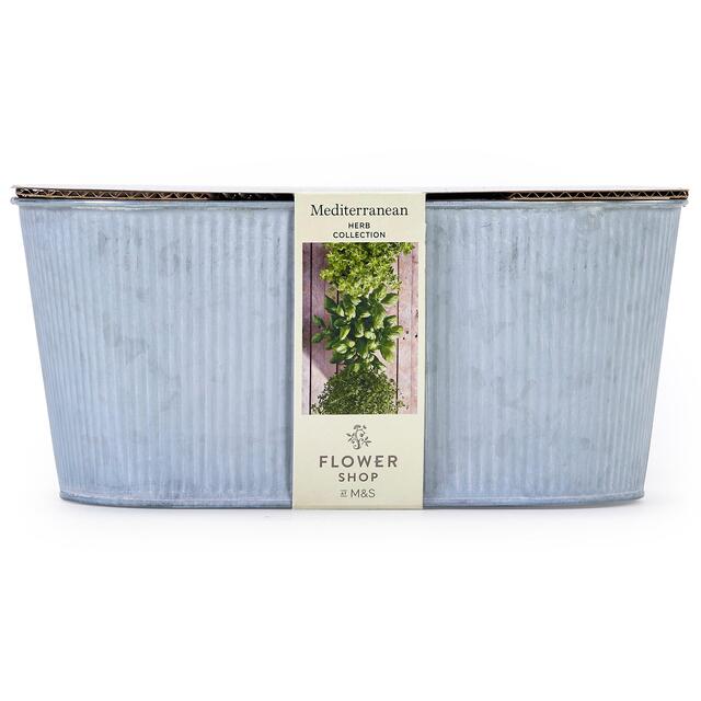 M&S Mediterranean Herb Collection thumbnail 2