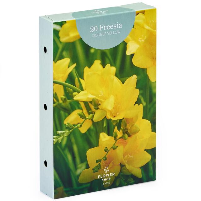 M&S Double Yellow Freesia