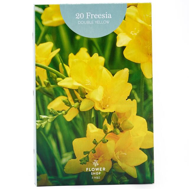 M&S Double Yellow Freesia thumbnail 2