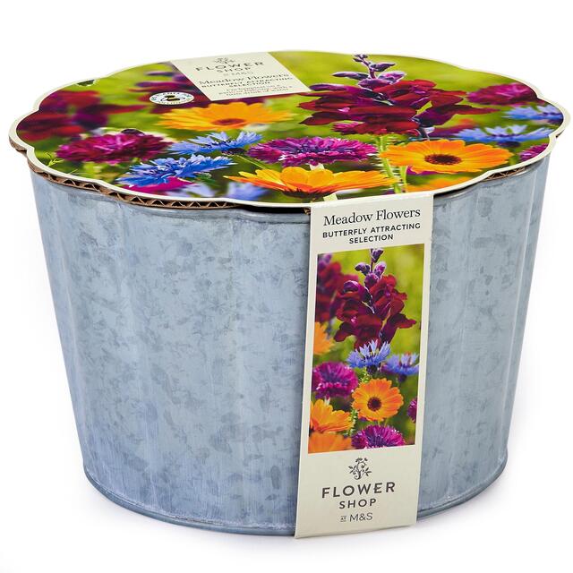 M&S Butterfly Meadow Collection