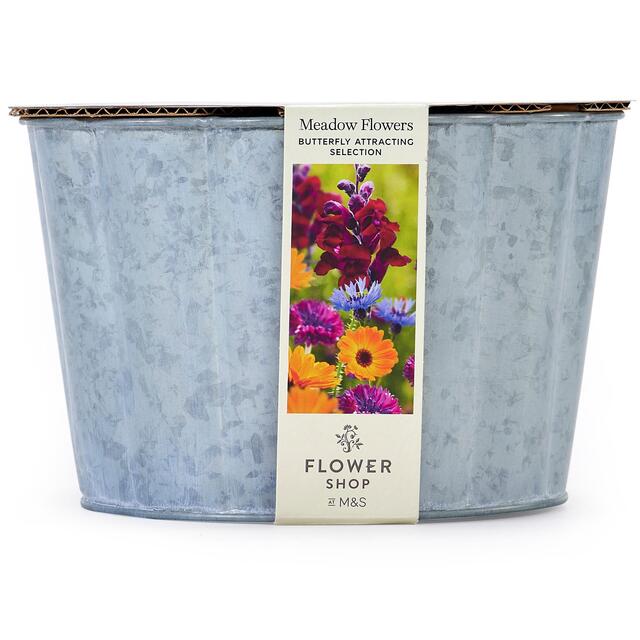 M&S Butterfly Meadow Collection thumbnail 2