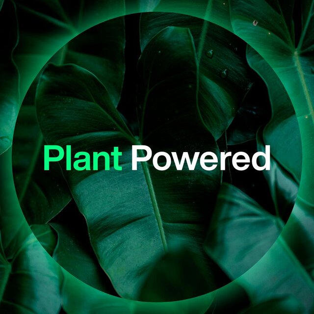 INEOS Skin Science Antiperspirant Deodorant Roll On Geranium & Mint thumbnail 10