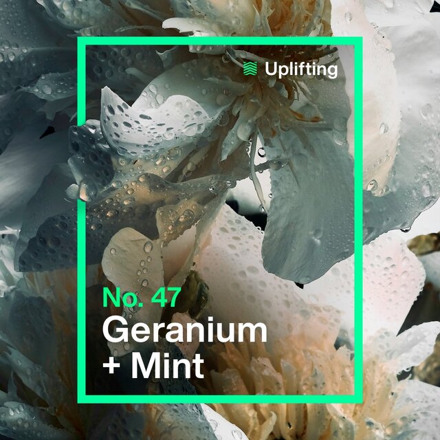 INEOS Skin Science Antiperspirant Deodorant Roll On Geranium & Mint thumbnail 3