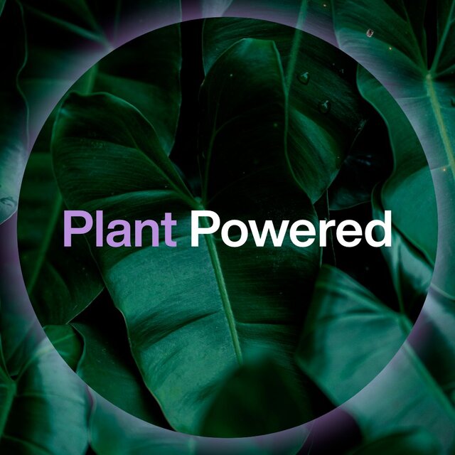 INEOS Skin Science Antiperspirant Deodorant Roll On White Orris & Cherry thumbnail 10