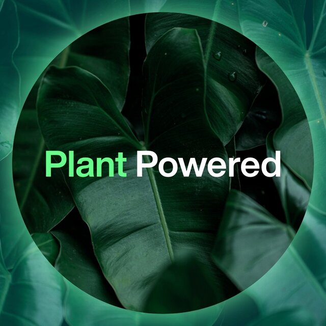 INEOS Skin Science Geranium & Mint Antiperspirant Deodorant Mist thumbnail 10