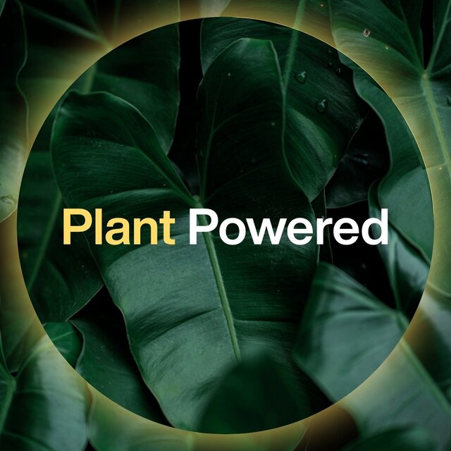 INEOS Skin Science Mandarin & Sandalwood Handwash thumbnail 10