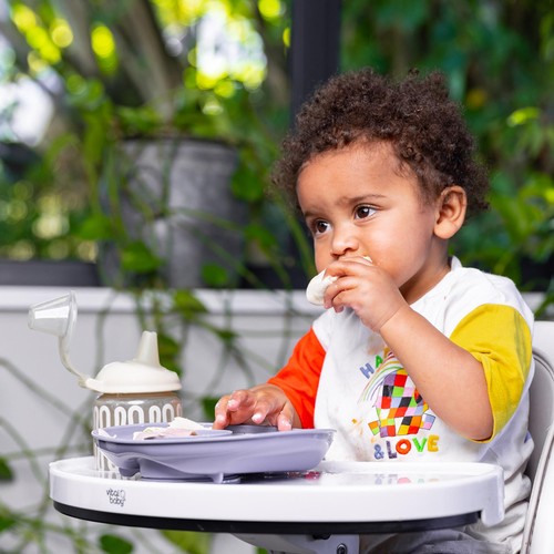 Vital Baby Nourish Power Suction Plate - natural berry thumbnail 2