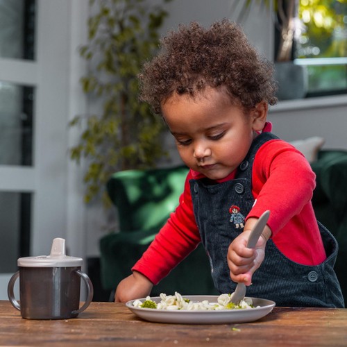 Vital Baby Nourish Perfectly Simple Plates 5pk - natural thumbnail 6