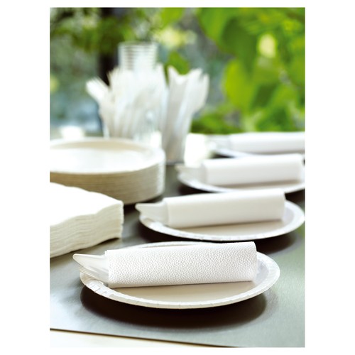 White Coated Paper Plates thumbnail 3