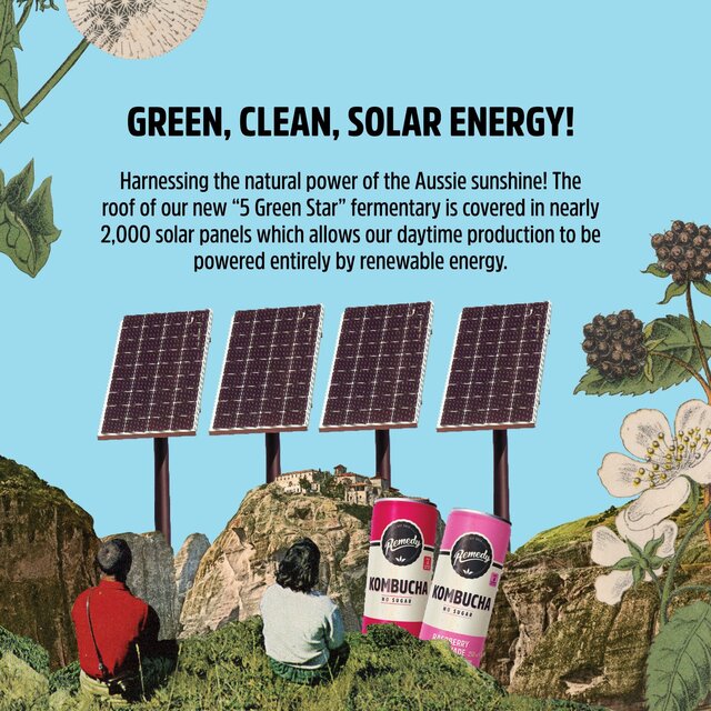 Remedy Kombucha Raspberry Lemonade thumbnail 3