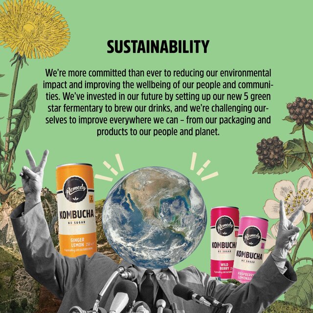 Remedy Kombucha Peach thumbnail 2