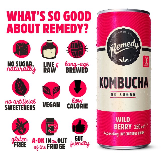 Remedy Kombucha Wild Berry thumbnail 4