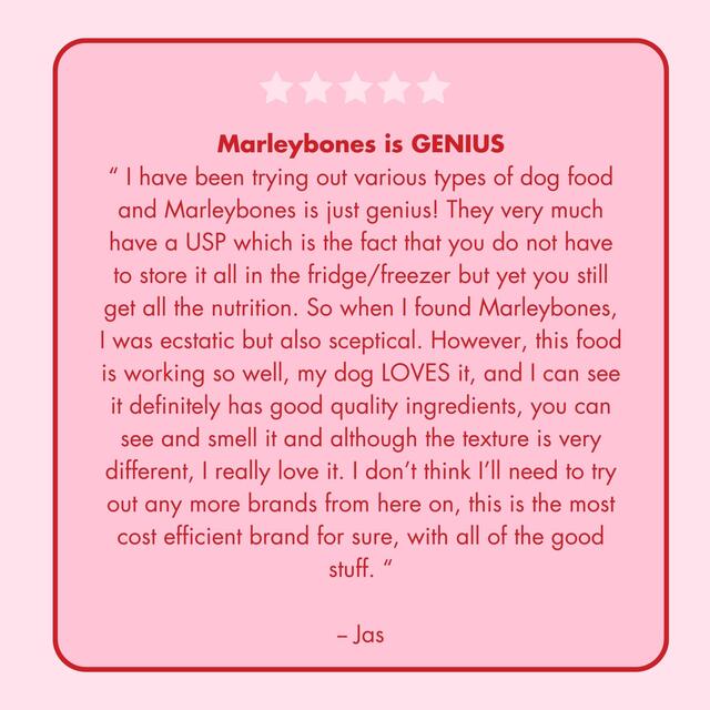 Marleybones Wet Dog Food - Beef & Superfoods thumbnail 9