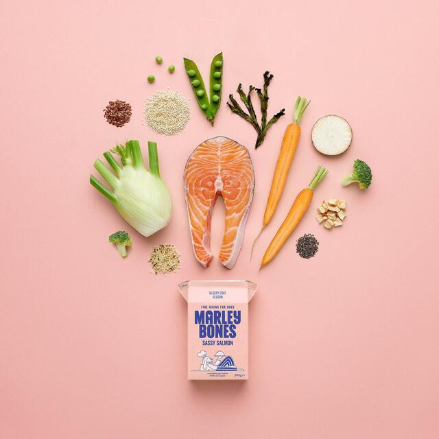 Marleybones Wet Dog Food - Salmon & Superfoods thumbnail 2