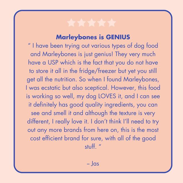 Marleybones Wet Dog Food - Salmon & Superfoods thumbnail 8