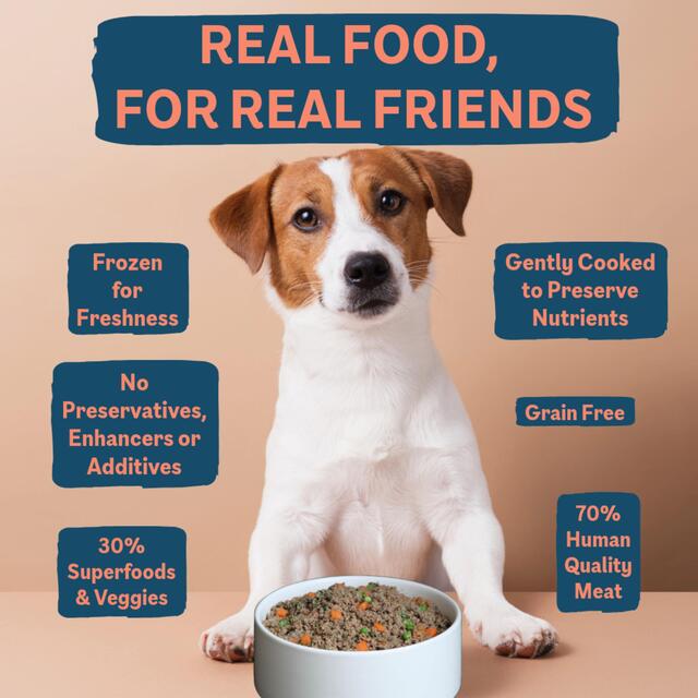 BOOST Pet Pork with Superfoods Meal for Dogs thumbnail 2