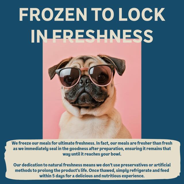 BOOST Pet Pork with Superfoods Meal for Dogs thumbnail 5