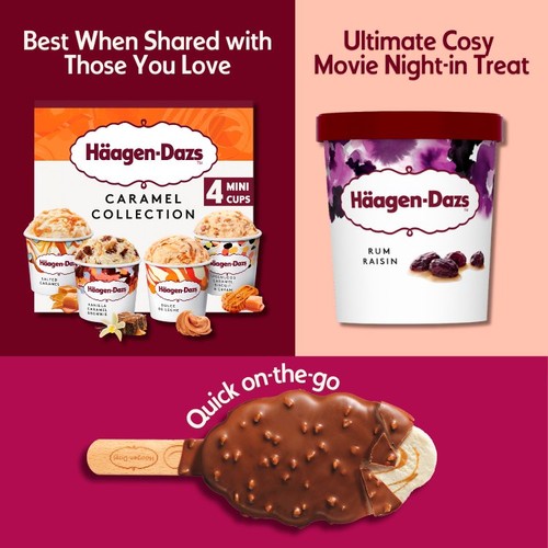 Haagen-Dazs Rum and Raisin Ice Cream thumbnail 6