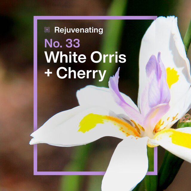 INEOS Antiperspirant Deodorant Roll On Refill White Orris & Cherry thumbnail 8