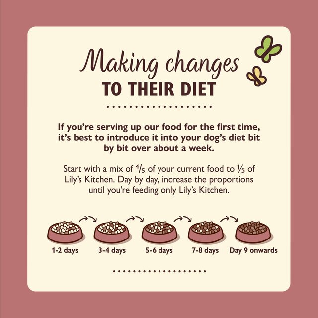 Lily's Kitchen Venison & Wild Boar Terrine For Dogs thumbnail 2