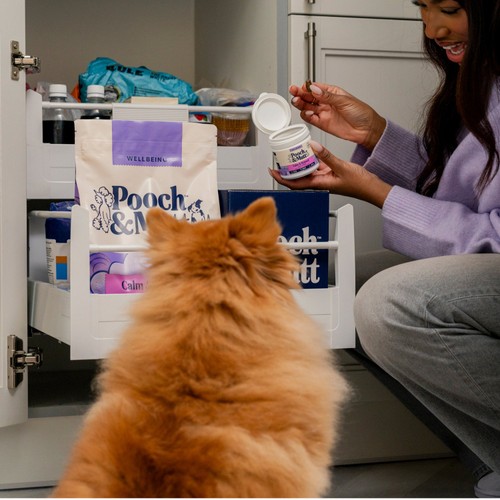 Pooch and Mutt Hemp Chewies thumbnail 7