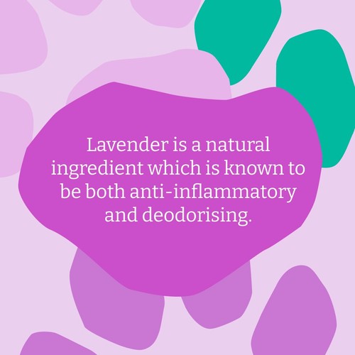 Faith In Nature Dog Care Shampoo Lavender thumbnail 6