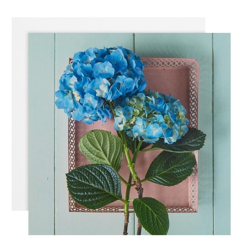 M&S Flowers Blank Card