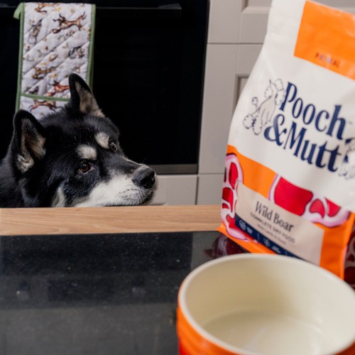 Pooch & Mutt Primal Wild Boar Meat Dry Food thumbnail 8