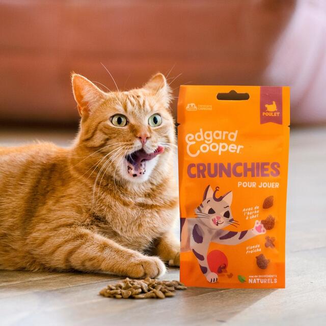 Edgard & Cooper Natural Cat Treat Crunchies with Chicken thumbnail 6