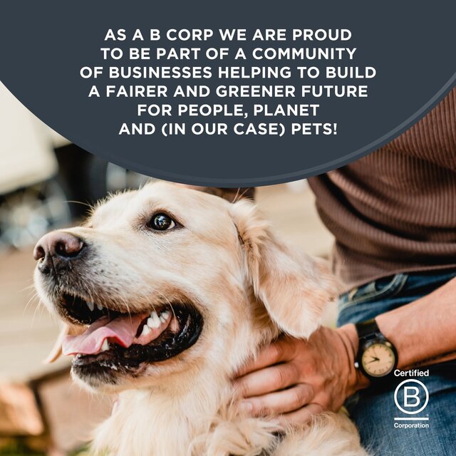 Encore Dog Chicken Broth Selection Tins thumbnail 2