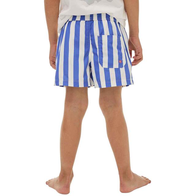 M&S Thick Stripe Swim Shorts, 2-3 Years, Blue thumbnail 4