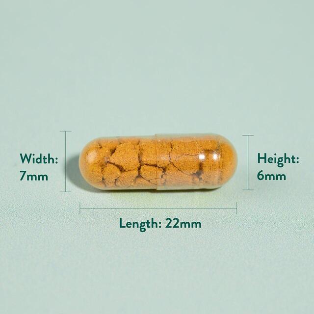 Holland & Barrett High Strength Turmeric 600mg plus Boswellia & Ginger thumbnail 2