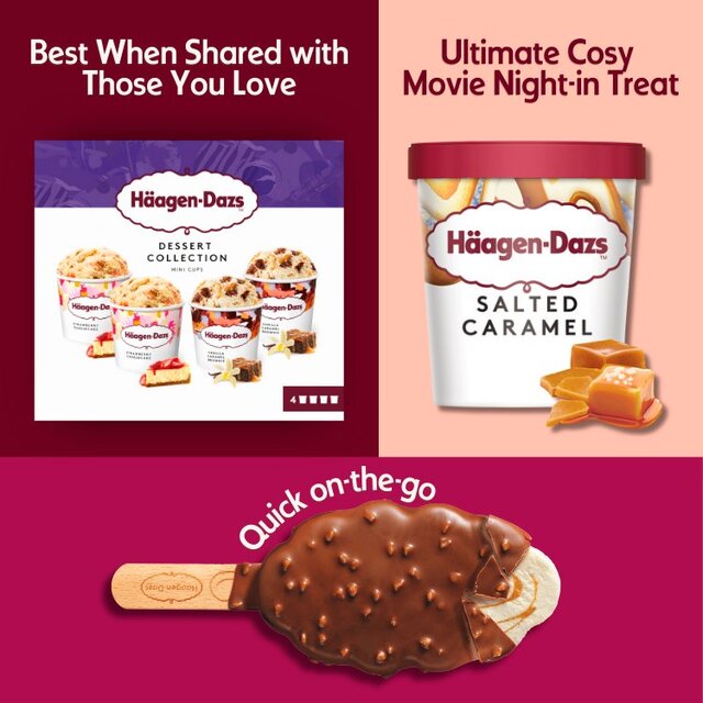 Haagen Dazs Dessert Collection thumbnail 3