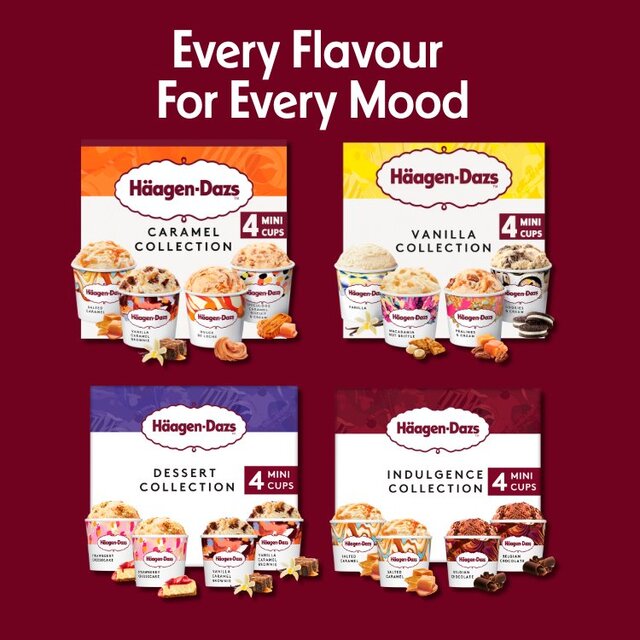 Haagen Dazs Dessert Collection thumbnail 4